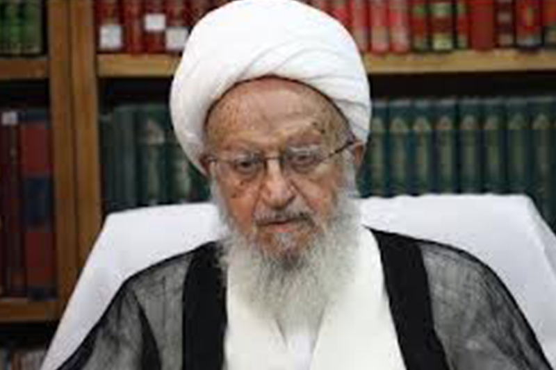 قدردانی آیت‌الله مکارم‌شیرازی از رهبر‌انقلاب