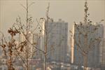 Iranian scientist develops ion-exchange absorbent to combat pollution