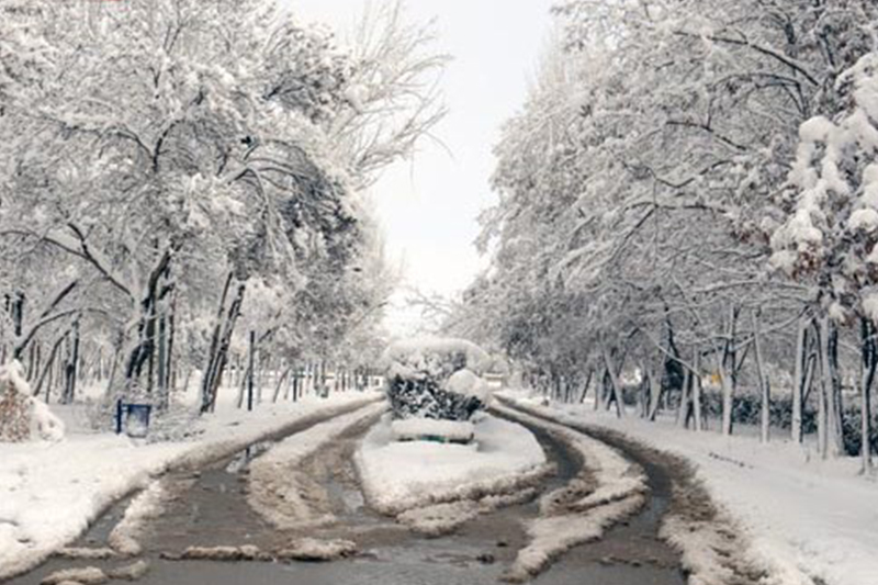  فردا دمای پایتخت زیر صفر می‌رود