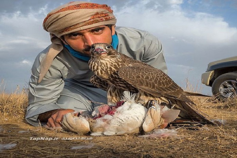 تصاویر/ زندگی شاهزاده اماراتی در دبی