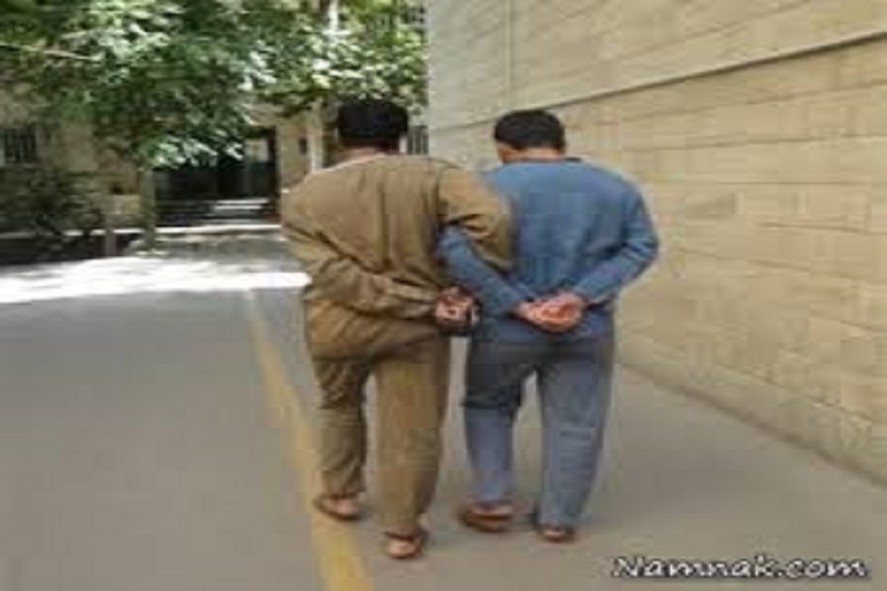 اعترافات هولناک «گرگ‌های زرد»