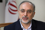 Iran says G5+1 has no option but understanding 