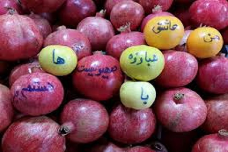 درخواست صهیونیستها از اینستاگرام +تصاویر