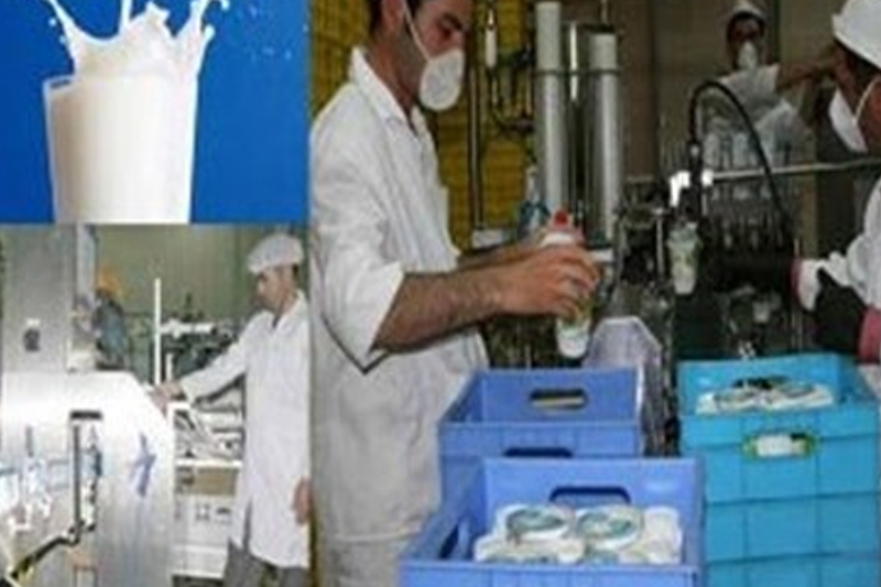 جریمه ۵ میلیاردی متخلفان لبنیات در ۹ ماه گذشته 