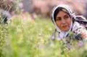 Track 143’ screened in eight int’l fests 