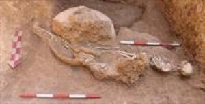 Archeological investigations uncover Elamite, Sassanid earthenware  