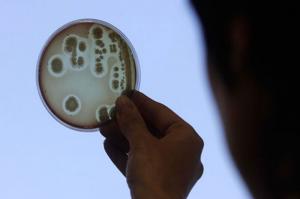 جامع ترین بانک DNA جهان
