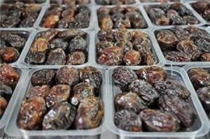 بیماری خرما در کمین سلامت زائران ایرانی