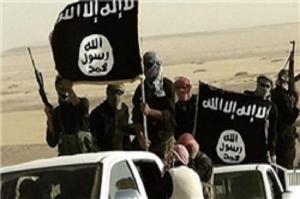 داعش نماینده اهل سنت نیست