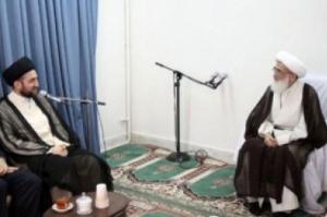 دیدار عمار حکیم با آیت‌الله نوری همدانی 