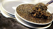 Iran exports 1200 tons cultivated fish caviar 