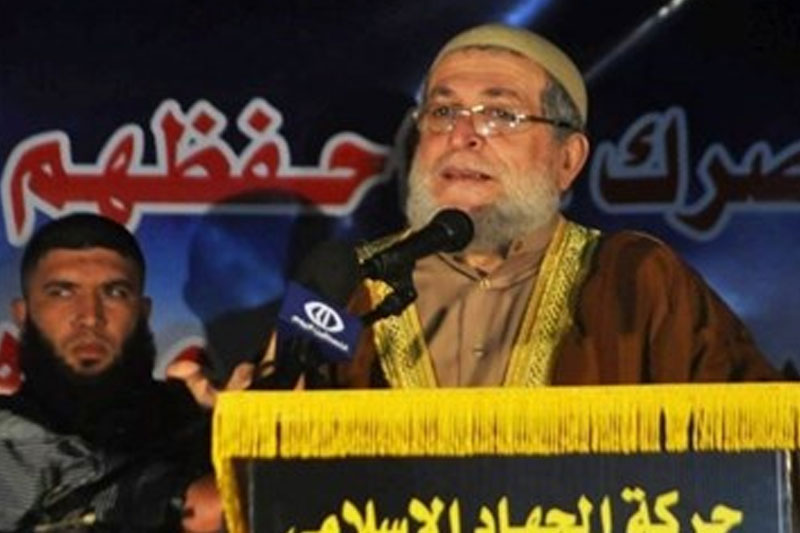 عملیات شبعا مقاومت را تقویت کرد 