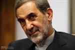 Iran’s status at SCO to improve: Velayati 