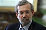 Iran rational in border security: Larijani 