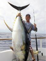 صید بزرگترین ماهی تن /عکس