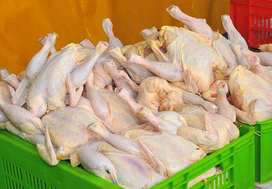 علت افزایش قیمت مرغ/ کاهش قیمت تا چند روز دیگر 