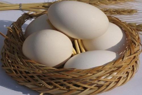 بلایی که خمیر مرغ سر تخم‌مرغ آورد/ ۱۸ میلیون مرغ پیر آماده کشتار 