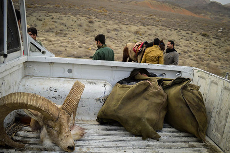 دستگیری شکارچی غیر مجاز در تهران