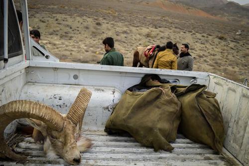 دستگیری شکارچی غیر مجاز در تهران