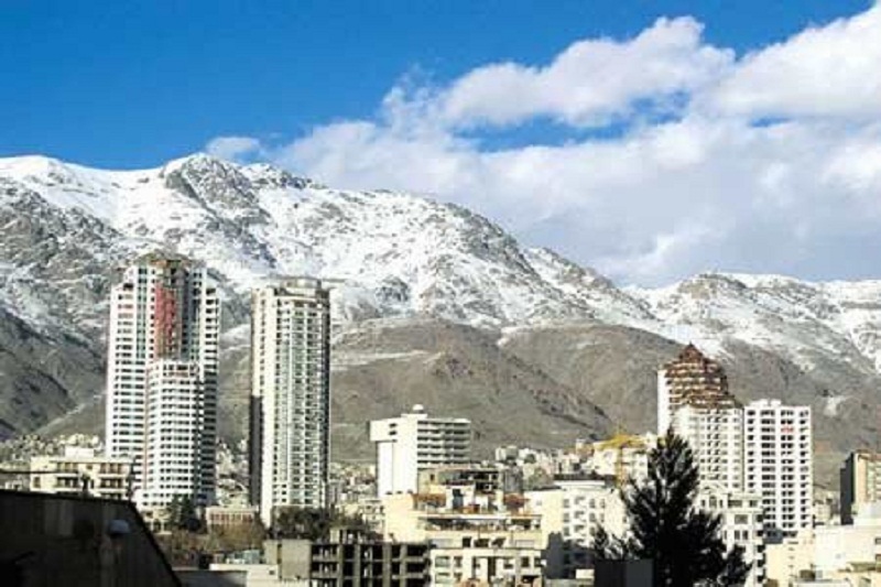 معاملات مسکن نصف شد