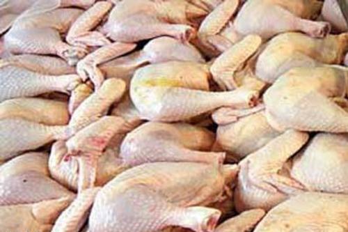 کاهش تولید قیمت مرغ را افزایش داد/حجم بالای عرضه مرغ منجمد قیمت ها را کاهش می دهد 