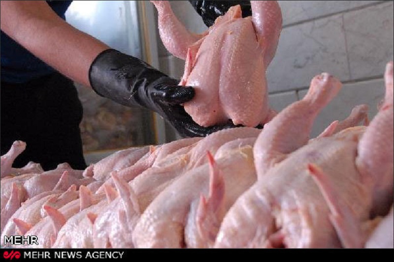 نرخ جدید مرغ و انواع ماهی
