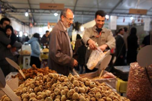 آغاز به کار نمایشگاه استقبال از نوروز فاطمی در فرهنگسرای خاوران