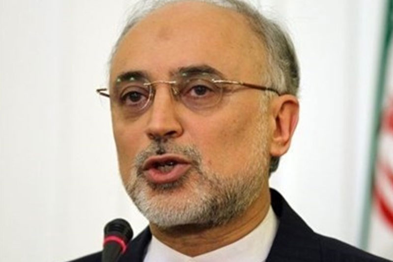 امیدواریم مذاکرات هسته ای به سرانجام برد- برد برسد؛ راه پرپیچ و خمی وجود دارد 