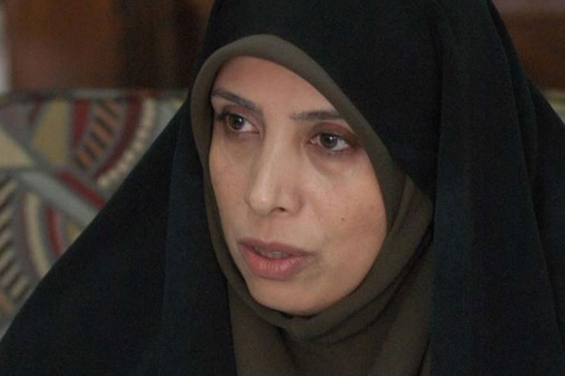 امینزاده موفقیت تیم هستهای در مذاکرات لوزان را تبریک گفت