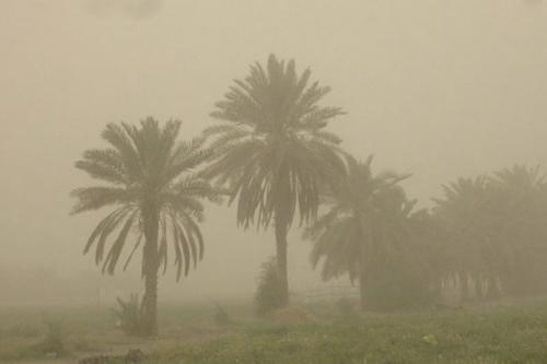 بارش باران در شمال و غرب کشور