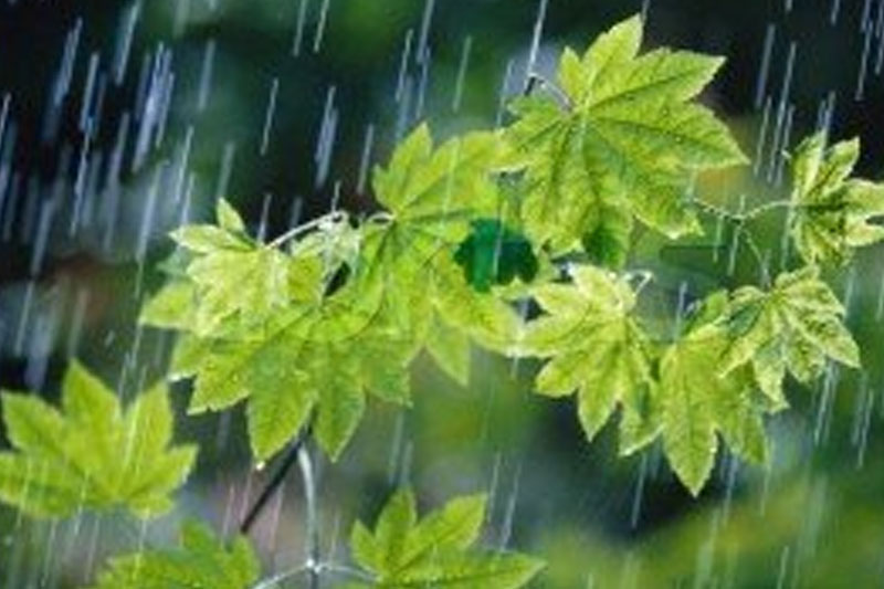افزایش دمای پایتخت 