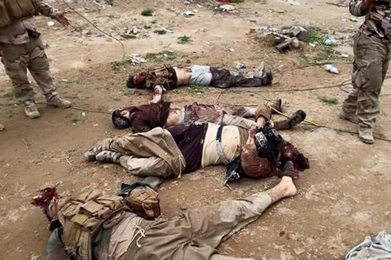 هلاکت داعشی ها در «الرمادی» عراق