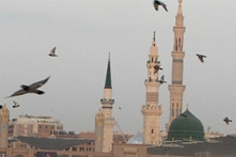 آخرین گروه زاوار ایرانی مدینه را ترک کردند