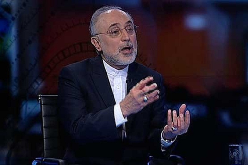 صالحی: یکسری از ابهامات در نشست وین برطرف شد/با مونیز یک کلمه درباره بازرسی‌ از تأسیسات صحبت نکردم/تولید سالانه 20 تن آب سنگین 