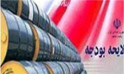 دولت تصمیمی برای ارائه متمم بودجه ندارد