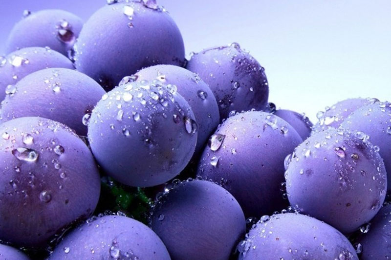 میوه های چربی سوز کدامند؟