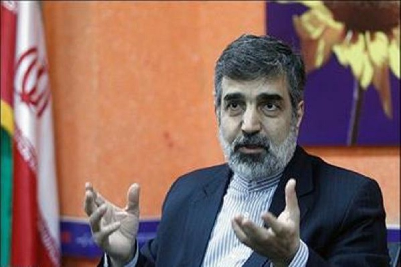 پروتکل الحاقی را در حال حاضر اجرا نمی‌کنیم