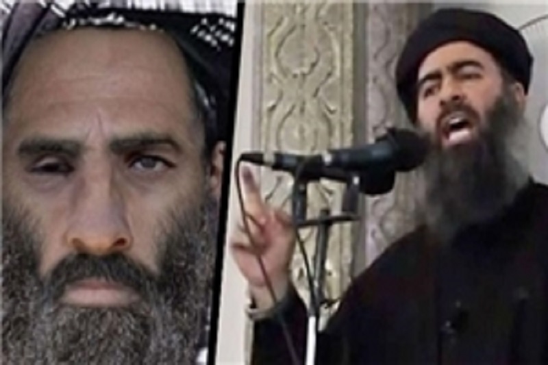 پشت پرده نامه‌نگاری ملاعمر به البغدادی