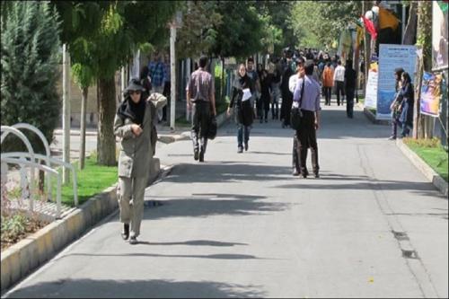 ۵ دانشگاه برتر صنعتی کشور معرفی شدند/ امتیاز ۳ دانشگاه هنری