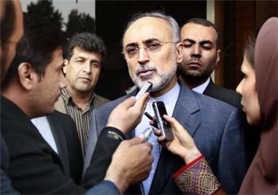 صالحی: اگر آمریکا فرصت پیش‌آمده را از دست دهد ضرر می کند 