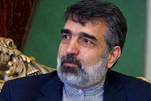 گام مهم ایران برای حل مسائل باقی مانده/ دستیابی به تفاهم اصولی در مورد جدول موضوعات و زمانبندی همکاری مشترک