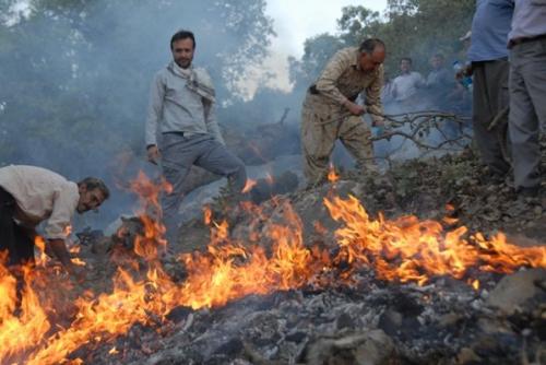 افزایش ۲۰ درصدی حریق در جنگل ها/ ۶۰ درصد آتش سوزی ها در زاگرس 