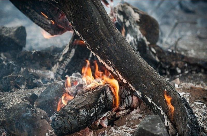 ۲۰۰ هکتار از جنگل های بلوط ایلام در آتش نزاع خانوادگی سوخت