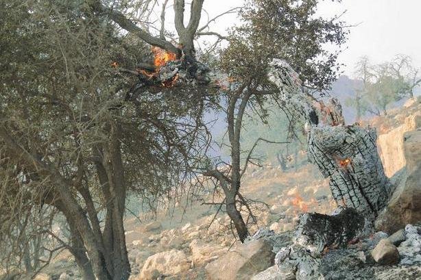آتش دوباره «گُر» گرفت