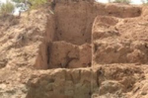 Paleolithic Mirak points to life of Neanderthals in Iran 