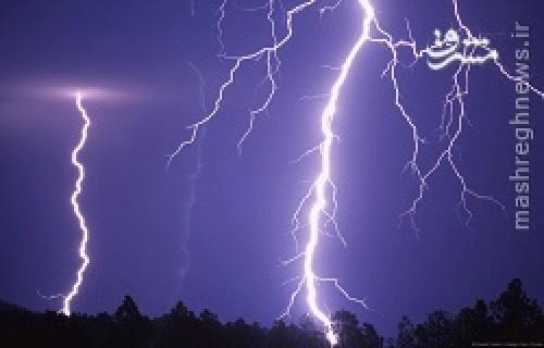 گوگل آلزایمر گرفت